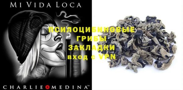 хмурый Белокуриха