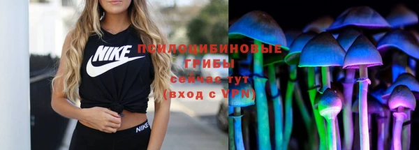хмурый Белокуриха