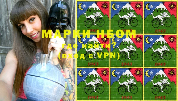 хмурый Белокуриха