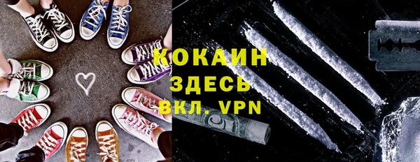 хмурый Белокуриха