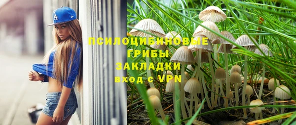 a pvp Беломорск