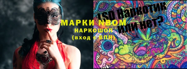 хмурый Белокуриха