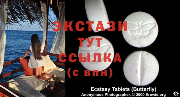 хмурый Белокуриха