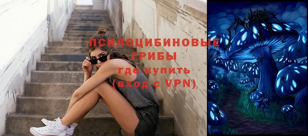 хмурый Белокуриха